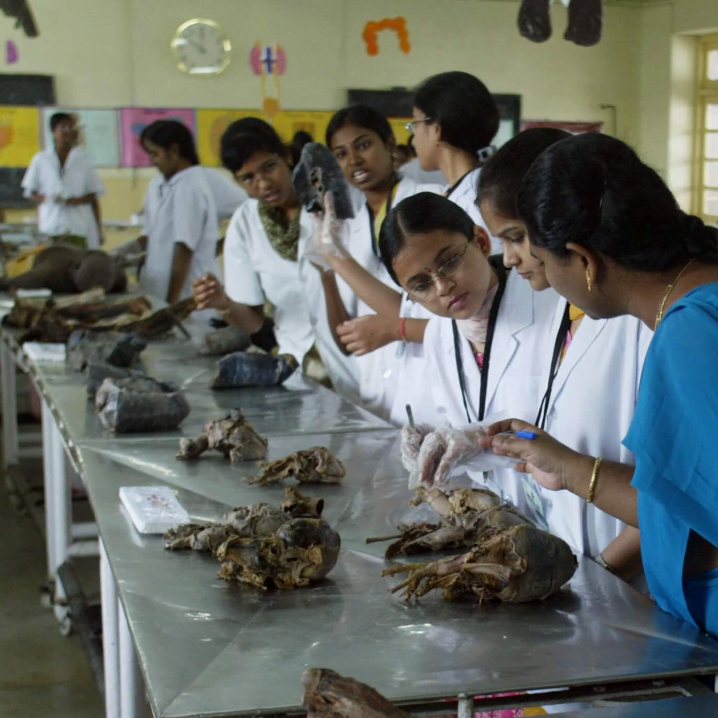 PB B.SC Nursing